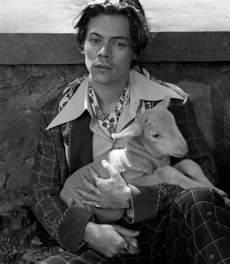 harry styles gucci pig|Harry Styles Gucci.